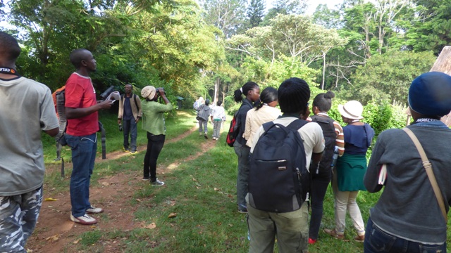 birding at mpanga forest