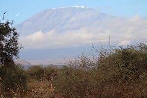 View of Kili from Amboseli