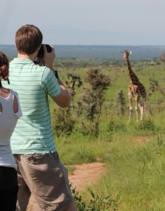 animal viewing in Murchison Falls National Park