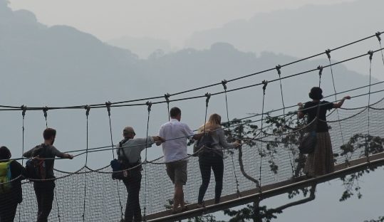 canopy walk nyungwe forest