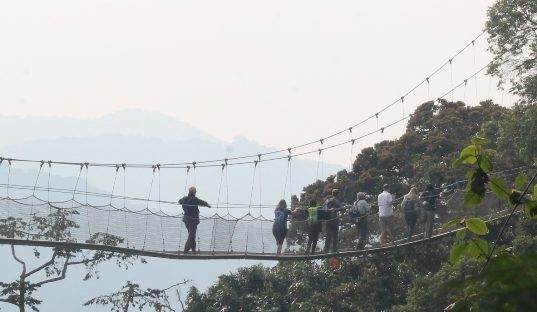 canopy walkway nyungwe forest
