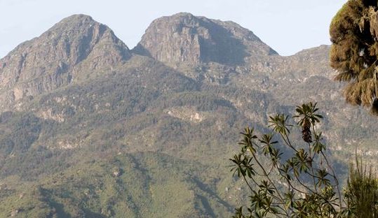 rwenzori hiking
